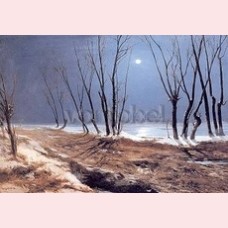 Winter landscape at moonlight